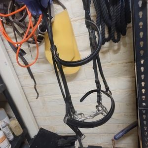 Bridle headstall with bit in real leather